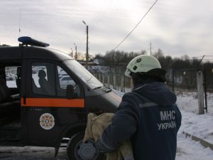 У Полтаві дикого птаха рятували від обмороження (відео)