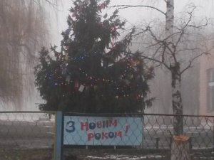 Фото: На Полтавщині ялинку-пам’ять зрубали без дозволу і встановили як сільську