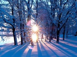 Фото: Синоптики розповіли, коли в Україну прийде зима зі снігом і морозами