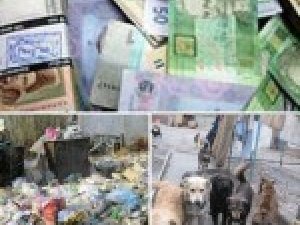 Фото: На сміття, звалища та безпритульних собак у Полтаві виділили 5 мільйонів
