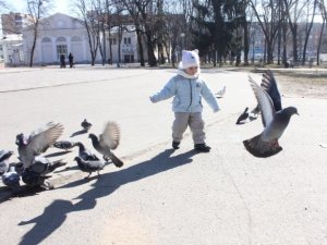 Фото: Березневе тепло розбудило природу та сонних після зими полтавців (фото)