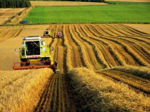 Фото: Рентабельність агропромислового сектору знизилася через ріст цін на пальне