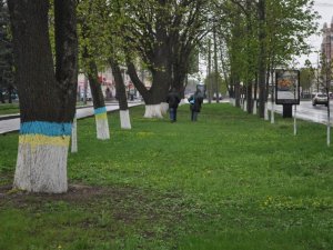 У Полтаві створили алею жовто-блакитних дерев