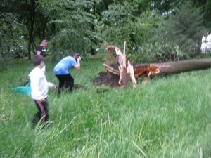 Полтава після негоди: люди фотографуються на фоні зламаних дерев