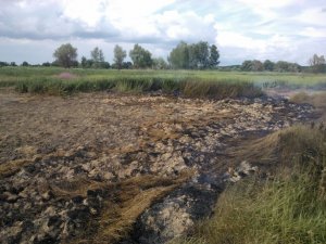 Фото: У Глобинському районі на Полтавщині горить торфовище