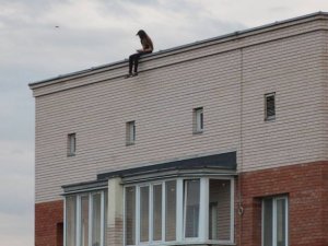Фото: У Полтаві дівчина, розважаючись на даху багатоповерхівки, лякала перехожих