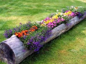 Фото: Ідеї для саду: як прикрасити подвір’я пеньками