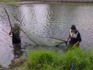 Фото: На Полтавщині незаконно наловили риби на 10 тисяч