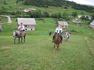 Фото: Під Полтавою діє кінний туристичний маршрут