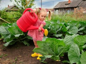 Фото: Розважаємо дітей на дачі