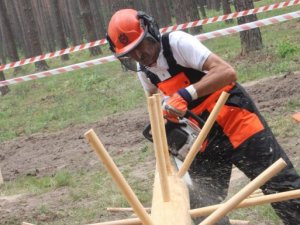 Фото. На Полтавщині відбулися змагання вальників лісу