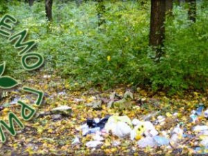 Фото: У Полтаві вивезуть сміття з Гришкового та Пушкарівського лісів
