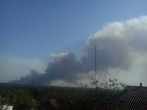 Фото: 173 пожежники та 28 авто гасили лісову пожежу на Полтавщині