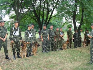 Фото: У полтавській колонії визначили кращого кінолога та його чотирилапого напарника