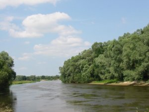 Фото: Водоканал  у Машівському районі забруднював річку