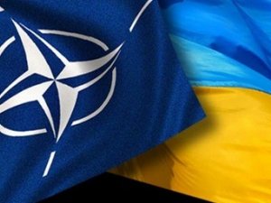 Фото: Україні нададуть зброю  5 країн НАТО