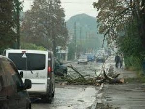 У Полтаві через негоду сталась ДТП: є травмований