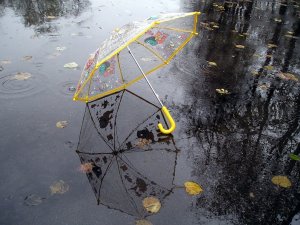 Фото: Чим зайняти дитину в дощову погоду