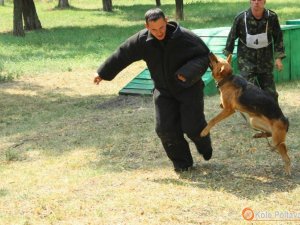 Фото: У Полтаві злодії, тікаючи, випадково натрапили на кінологів