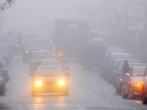 Фото: На Полтавщині прогнозують туман: статистика ДТП та поради для водіїв