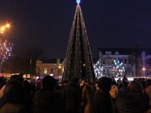 Полтавці "запалили" головну ялинку міста
