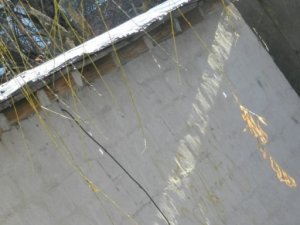 Фото: У Полтаві морозний тиждень завершився січневою відлигою (фоторепортаж)