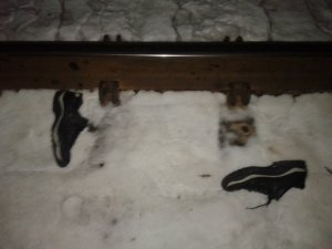 Фото: На Полтавщині чоловік потрапив під потяг