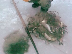 Фото: На Полтавщині затримали браконьєра, який зловив понад 17 кілограмів риби