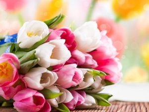 Долучайтесь до нового голосування: чи святкуватимете Ви 8 Березня?