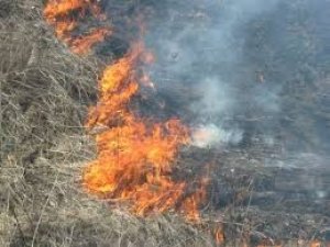 Фото: Полтавські рятувальники розповіли про небезпеку при спалюванні сухої трави