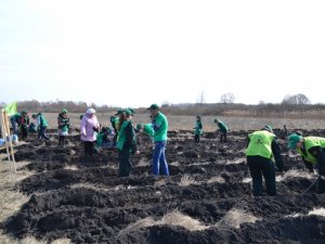 Фото: На Полтавщині стартувала лісокультурна кампанія 2015