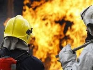 Фото: На Полтавщині під час пожежі згоріли кури і качки