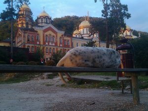 Абхазія: країна душі, яка не має спокою