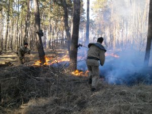 На Полтавщині ледь не згоріло 15 гектарів лісу