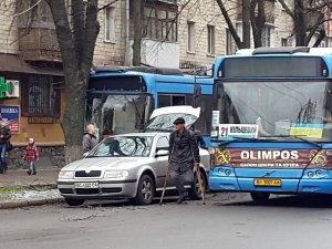 Фото: У Полтаві «кільцевий» врізався в дерево (фото)