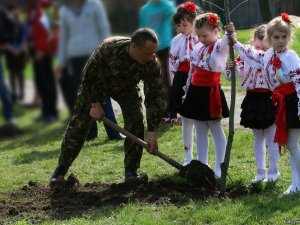 У Кобеляках учасники АТО посадили дубову алею