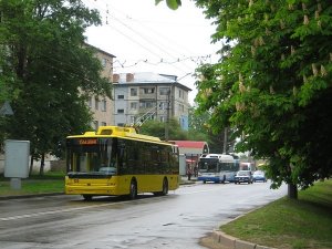 Полтавцям розповіли, хто із 1 червня матиме безкоштовний проїзд у громадському транспорті