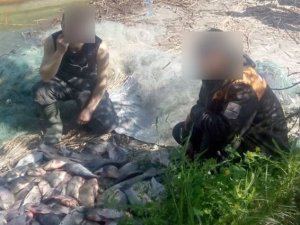 У районі національного парку «Нижньосульський» браконьєри виловили 40 кг риби