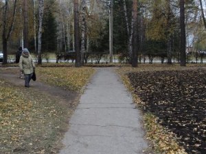 Фото: Дорожки разума