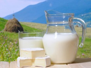 Фото: Пити чи не пити молоко – думки фахівців про шкідливість цього продукту