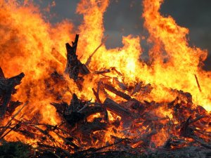 Фото: На Полтавщині через пожежу господарі втратили по півтонни сіна та соломи