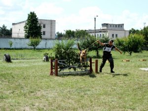 На Полтавщині у в’язницях обрали кращого кінолога та чотирилапого охоронця