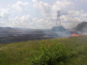 Фото: Під Полтавою згоріло поле