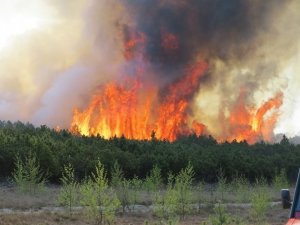 Фото: Полтавські рятувальники попередили про надзвичайний рівень виникнення пожеж