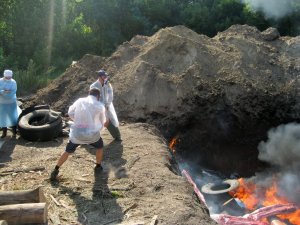 Сергій Аранчій розповів, чому не варто було переносити місце спалювання хворих свиней