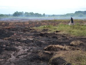 У двох районах Полтавської області горять торфовища