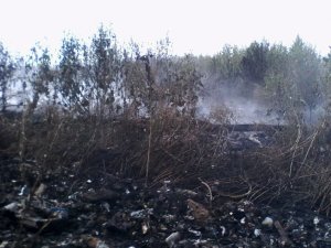 Фото: У Лохвиці горіло сміттєзвалище