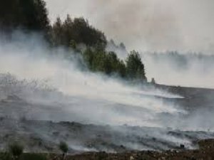 Фото: На Полтавщині палає торф на 15 гектарах