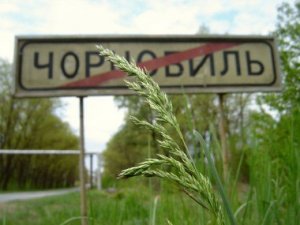 Фото: Полтавки, чоловіки яких померли в наслідок Чорнобильської катастрофи, можуть отримати пільги