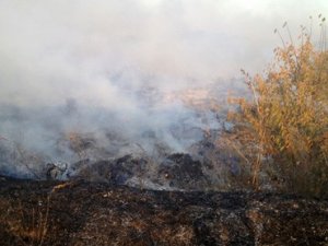 Фото: Сезон пожеж: на Полтавщині горіло уже четверте сміттєзвалище